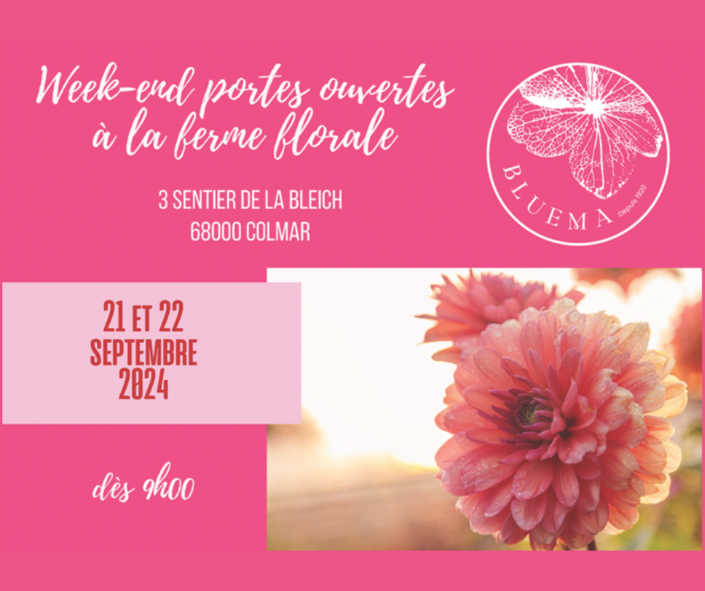 Blog ide e sortie 2